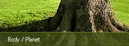 picture of tree trunk sturdily growing from earth with grasses around - with text reading body/planet