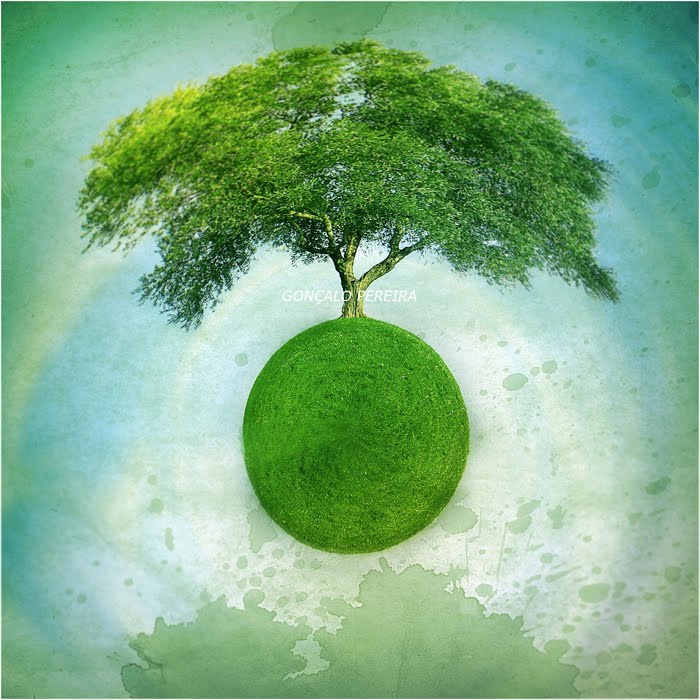 image of the Earth as a tree