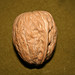 Walnut Seed Image